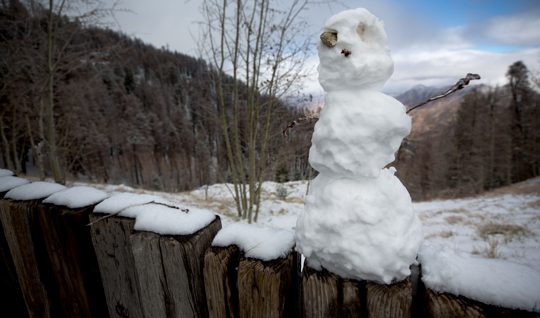 Snow in the Santa Catalina Mountains
